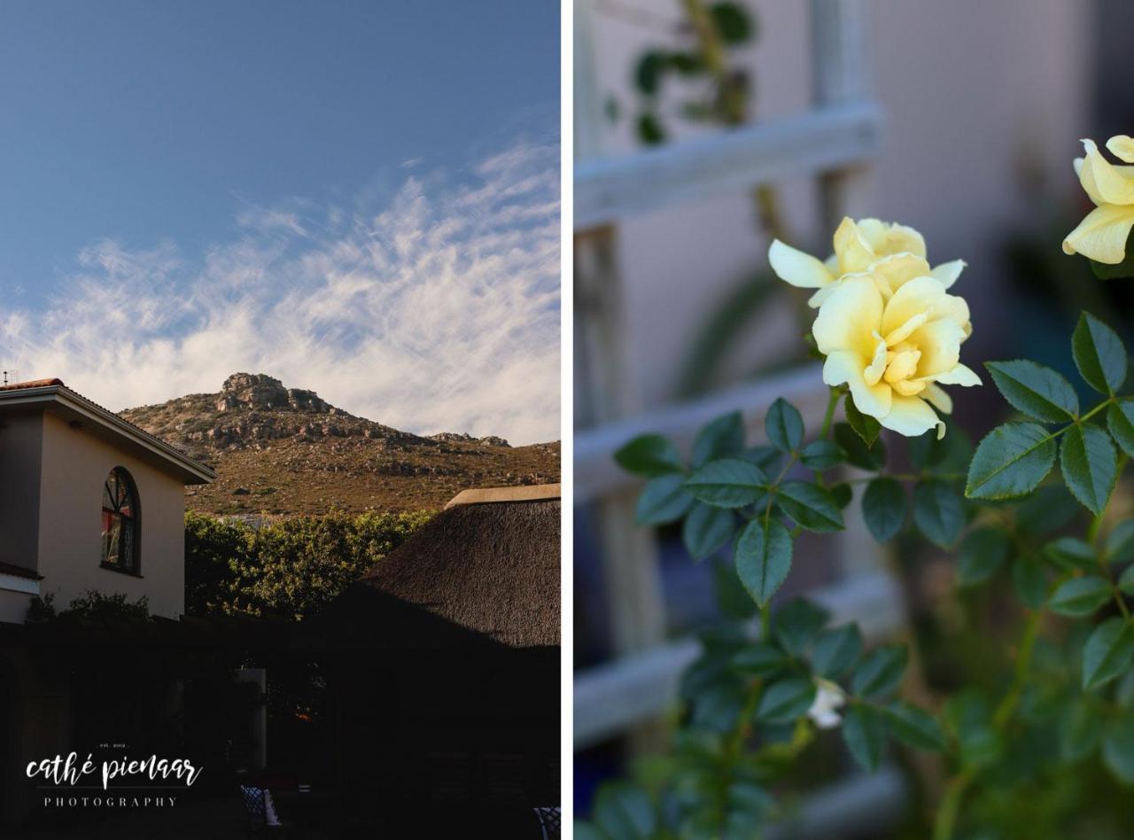 A Tuscan Villa Guest House Fish Hoek Extérieur photo